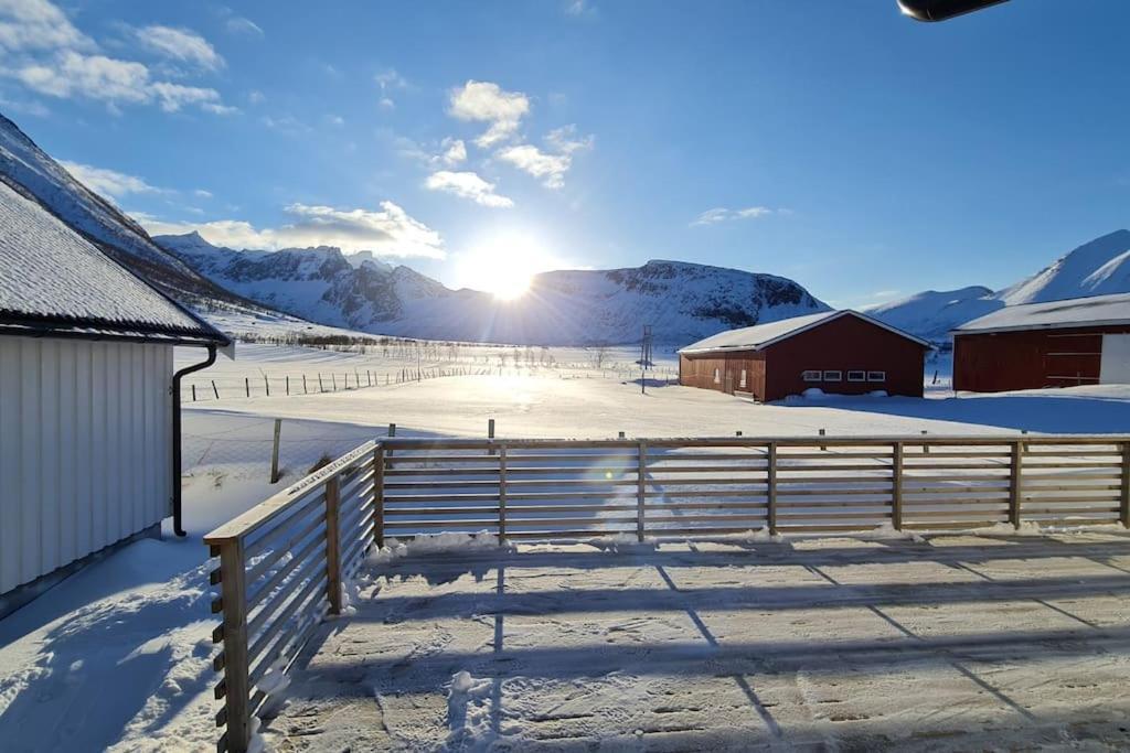 Arctic Lodge Tromvik With Jacuzzi Тромсё Экстерьер фото