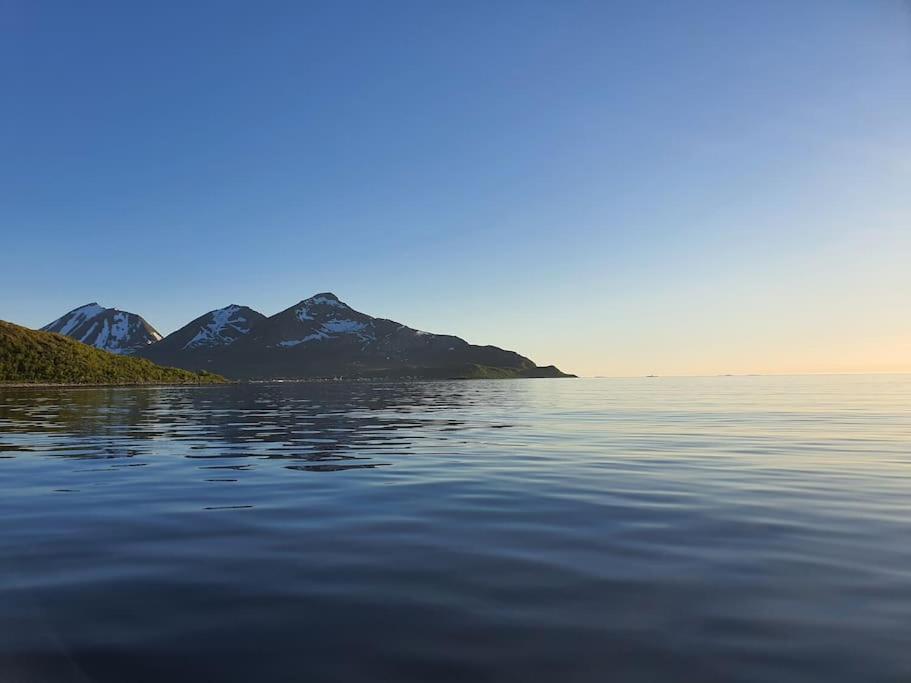 Arctic Lodge Tromvik With Jacuzzi Тромсё Экстерьер фото